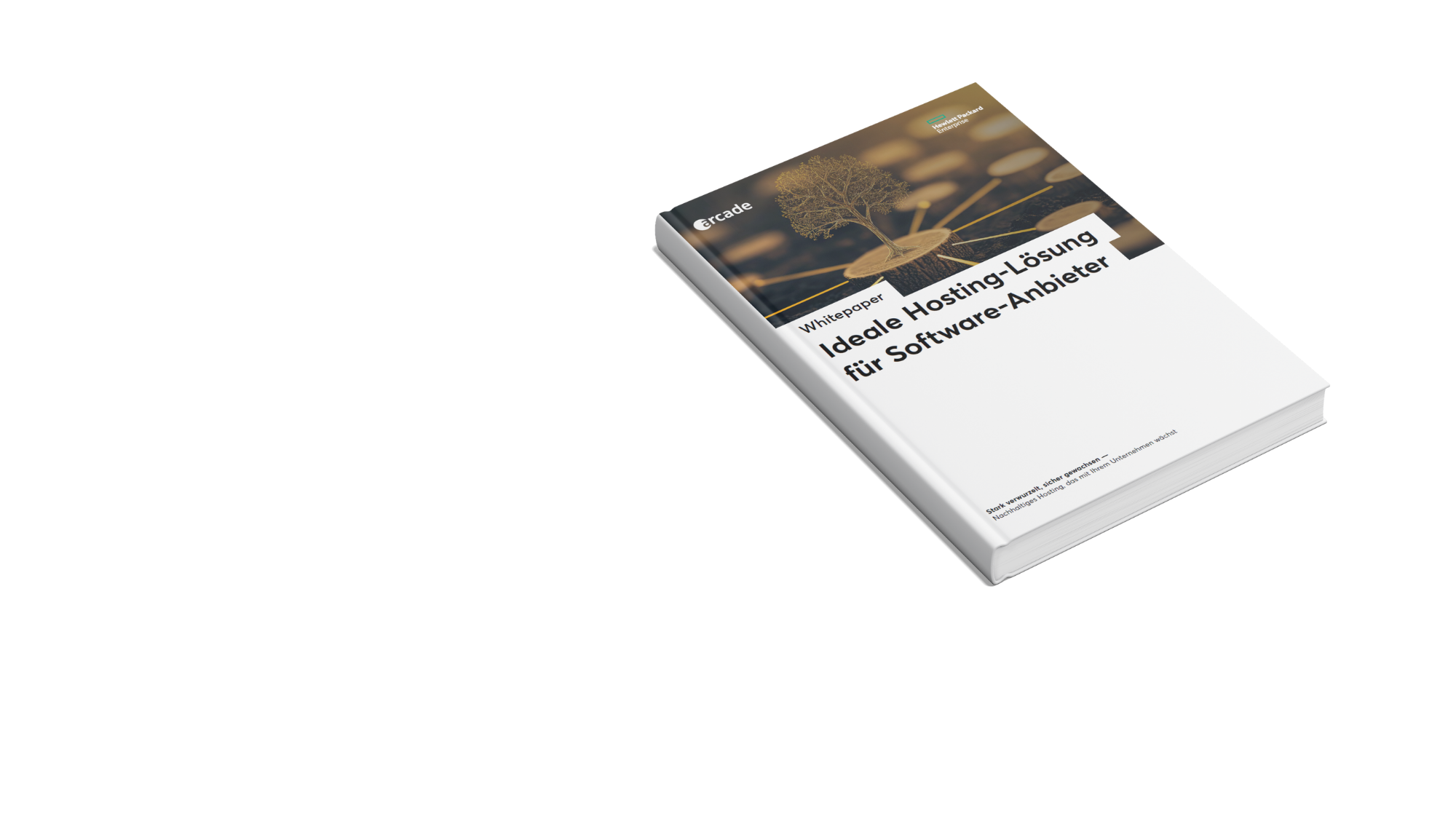 Download Whitepaper Ideale Hostinglösung für Software Anbieter