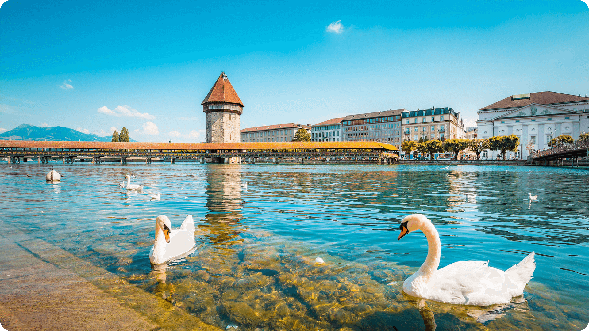 ICT-Lösungen für Schweizer KMUs - vom Luzerner Lokalmatador